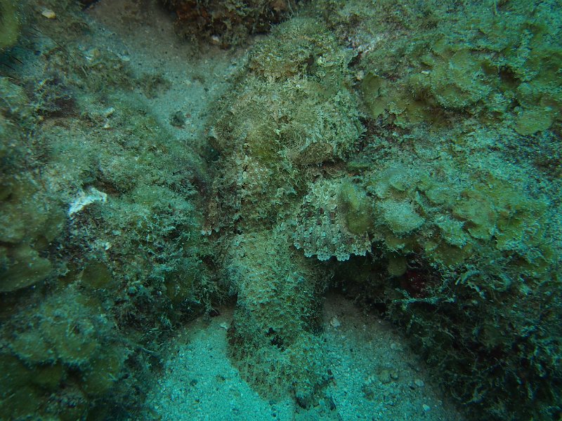 Curacao 04-12 094.JPG